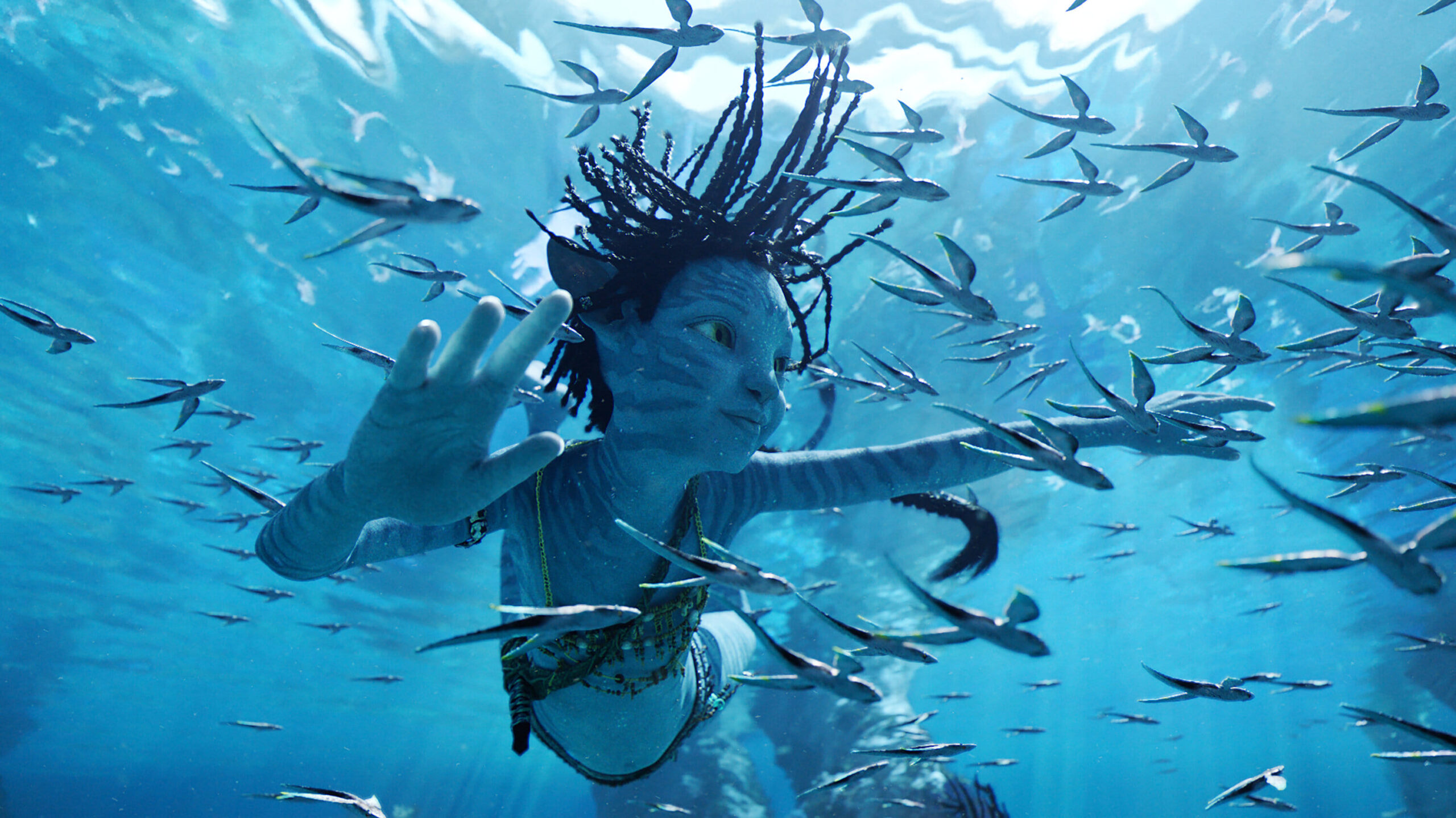 Les meilleurs Blu-ray 4K de 2023 - MaG