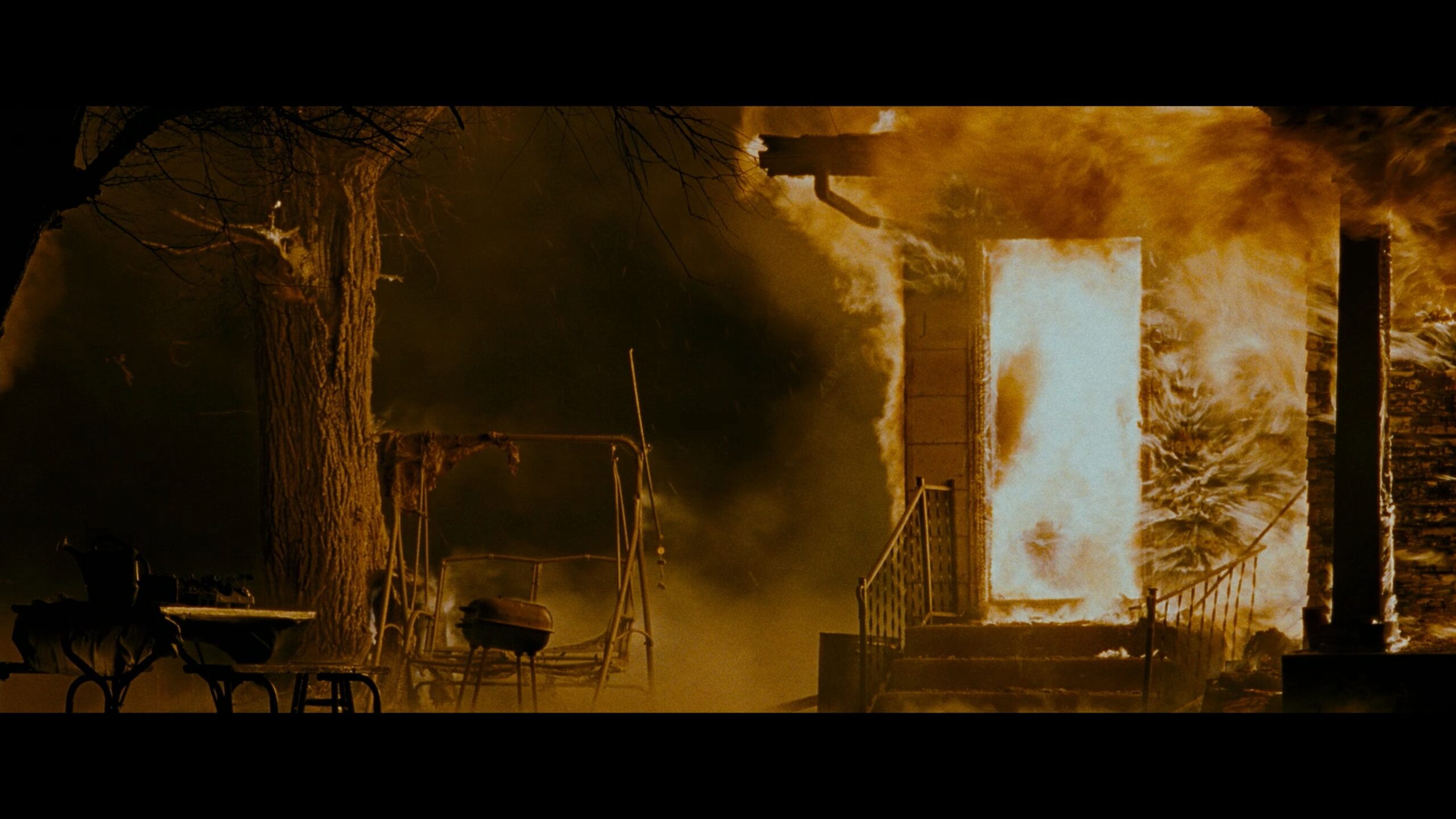 The Crazies (2010)