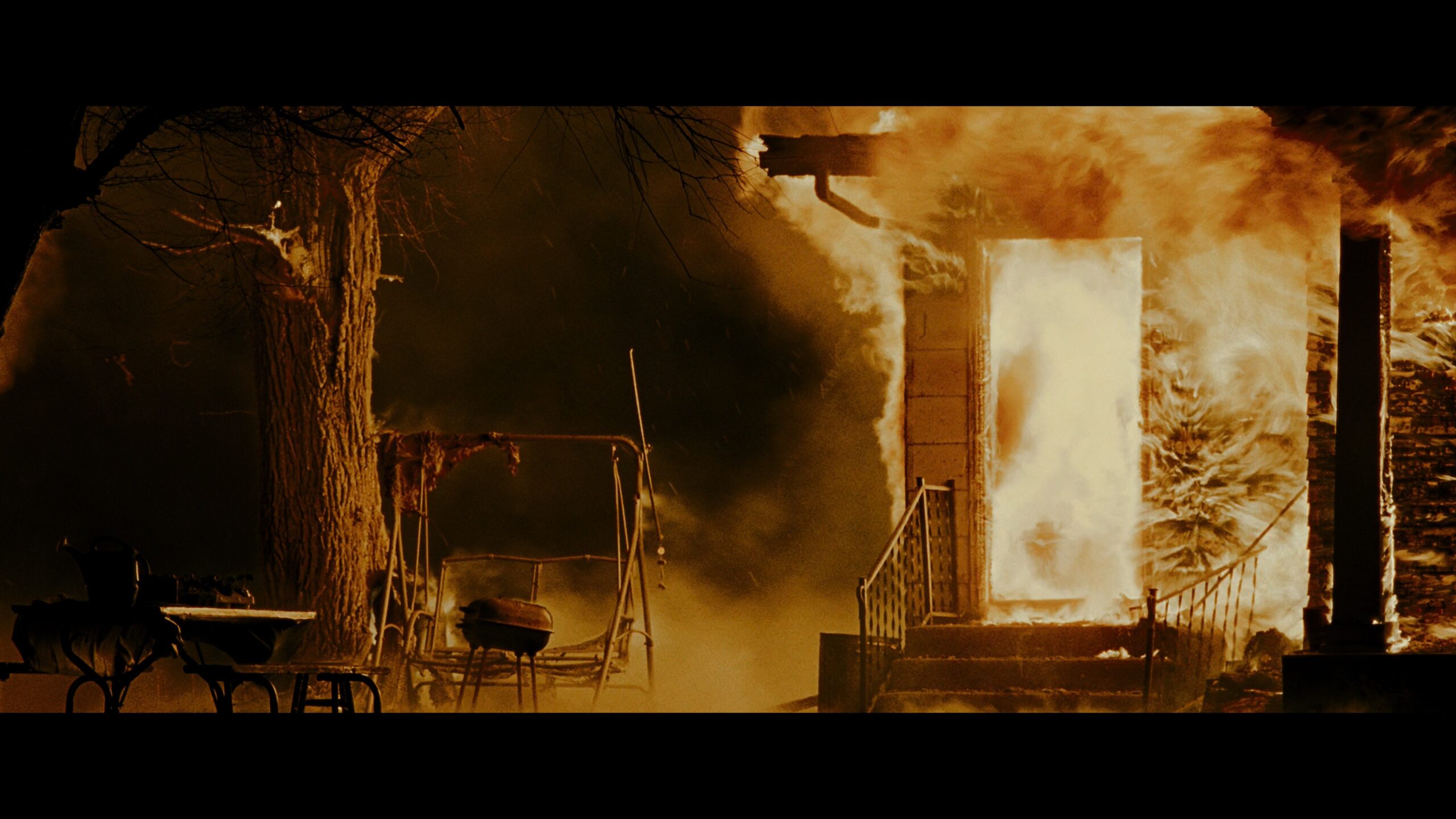 The Crazies (2010)