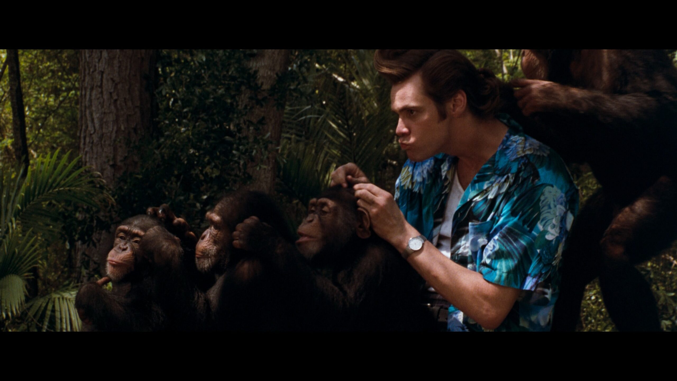 Ace Ventura en Afrique