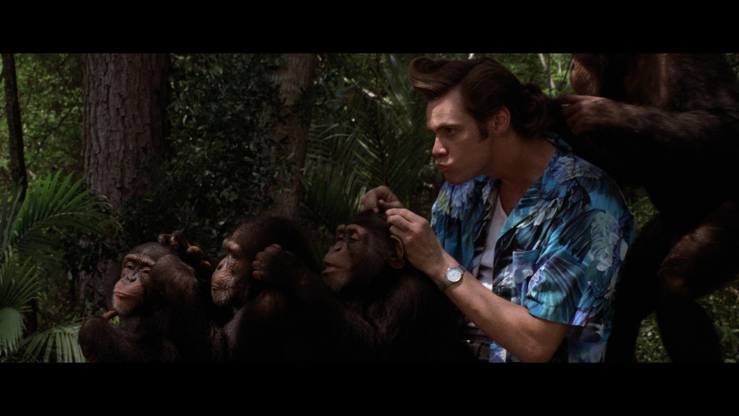 Ace Ventura en Afrique